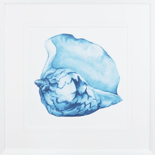 Framed Print Blue Sea Shell 620X620mm