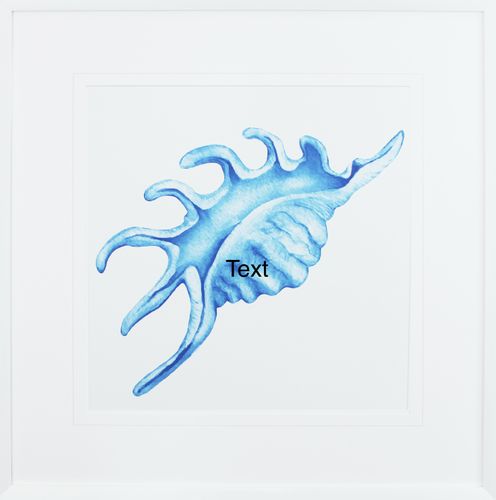 Framed Print Blue Sea Shell IV 620X620mm
