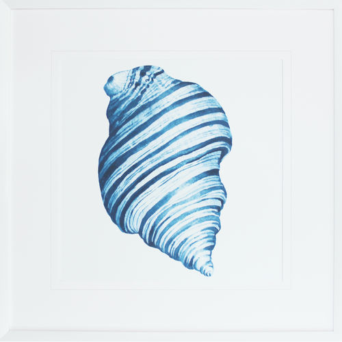 FRAMED PRINT BLUE SEA SHELL II 620X620MM