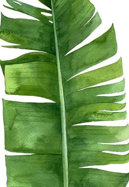 PRINT ON CANVAS TROPICAL LEAF 3 813X1220MM