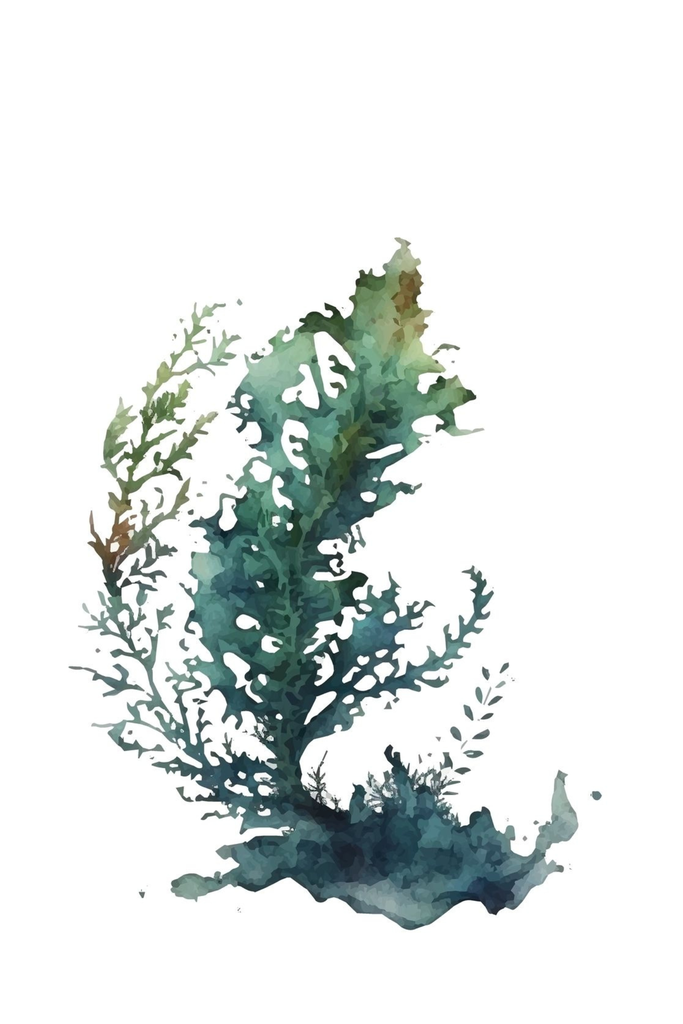 [PXM155] Print on Canvas - Seaweed 1 (600x400)