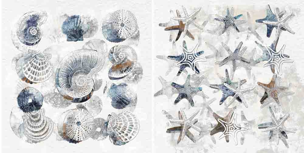 [PXYW672] OIL ON CANVAS STAR FISH SHELLS 600X600MM