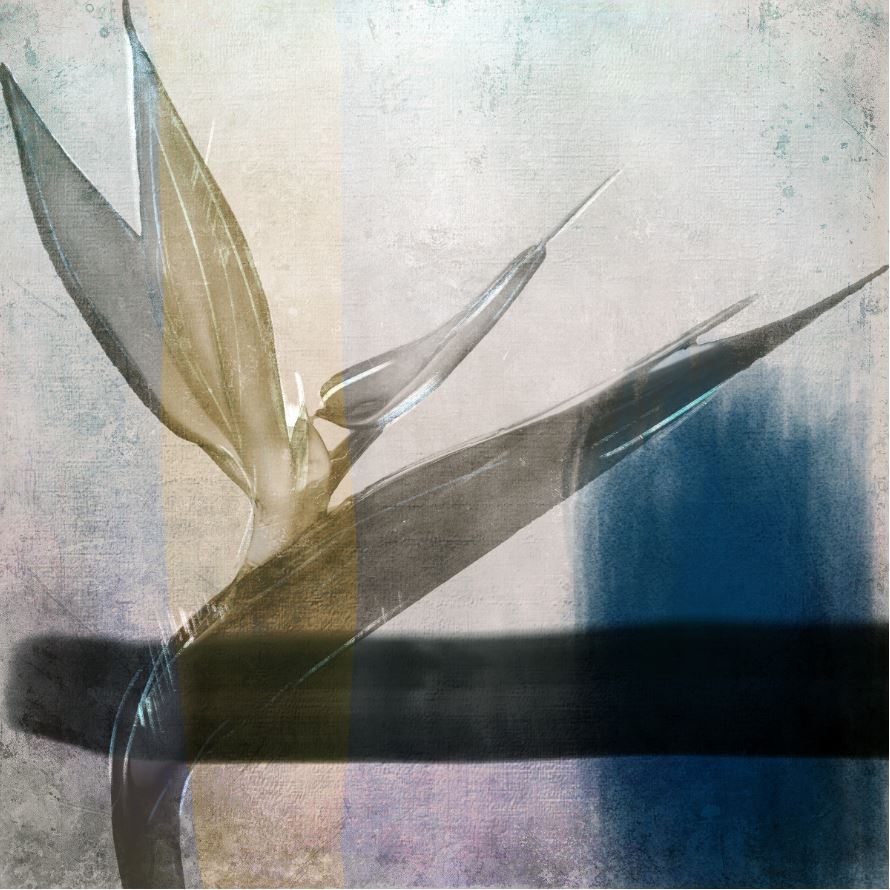 [MF131] Print On Canvas Flower 1000X1000mm