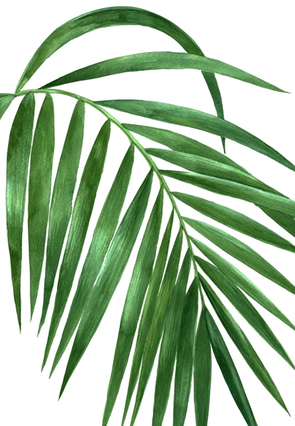 [AS304] Print on Canvas - Tropical Leaf 2 (813x1220)